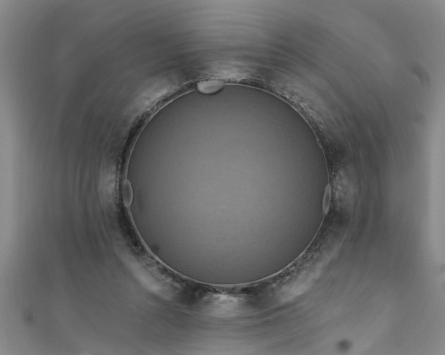 X0000111360352200907171208