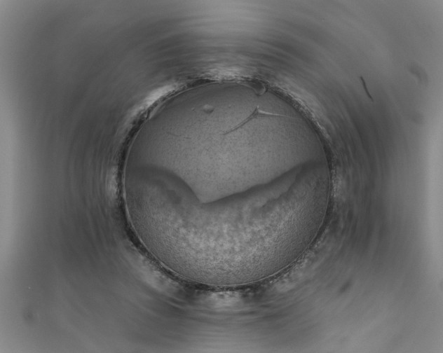 X0000111360353200907171208
