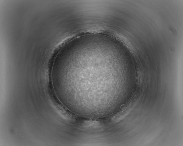 X0000111360354200907171208