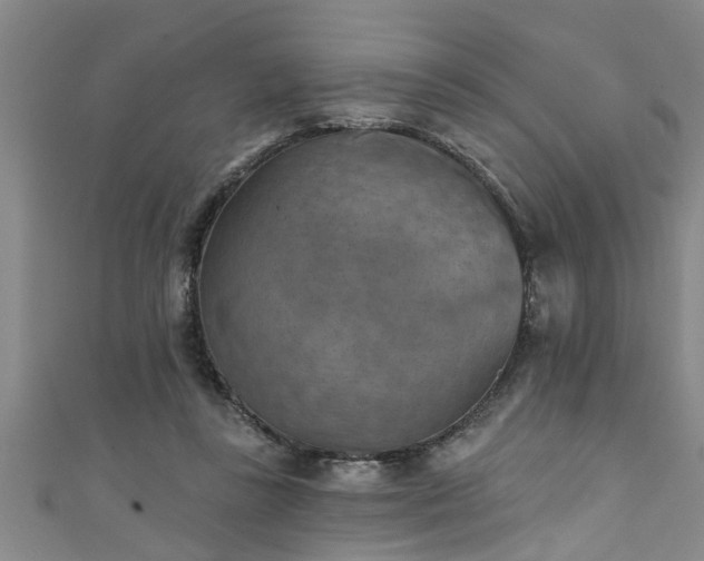 X0000111360355200907171208
