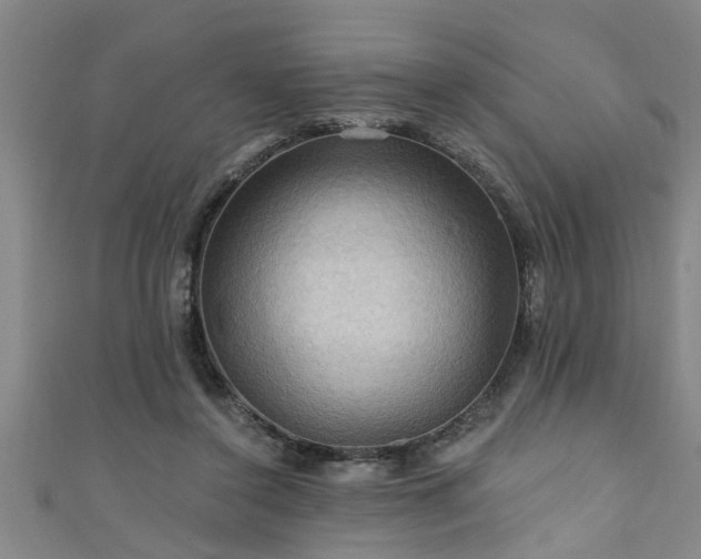 X0000111360356200907171209
