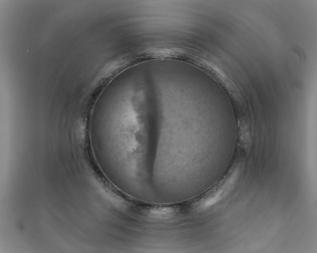X0000111360357200907171209