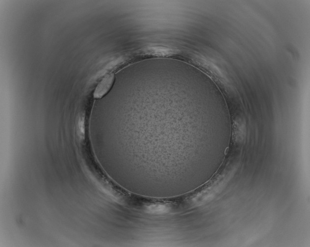X0000111360358200907171209