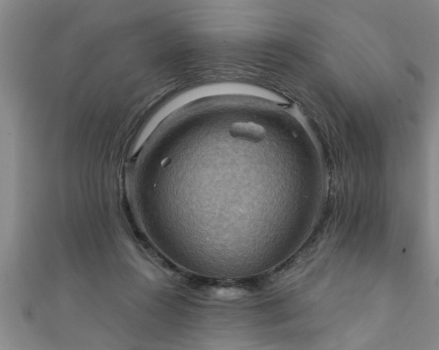 X0000111360360200907171209