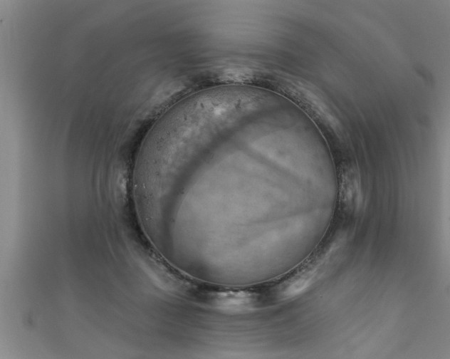 X0000111360363200907171209