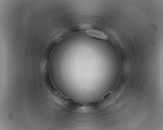 X0000111360364200907171209