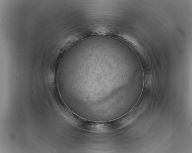 X0000111360365200907171209