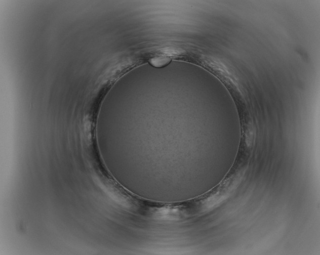 X0000111360366200907171209