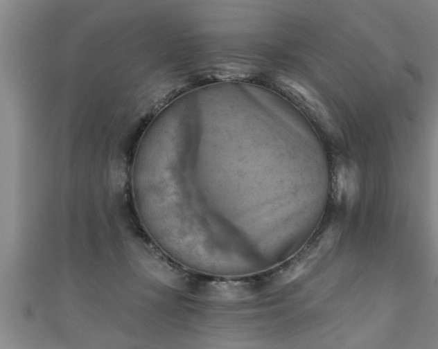 X0000111360367200907171209