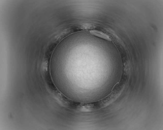 X0000111360368200907171209