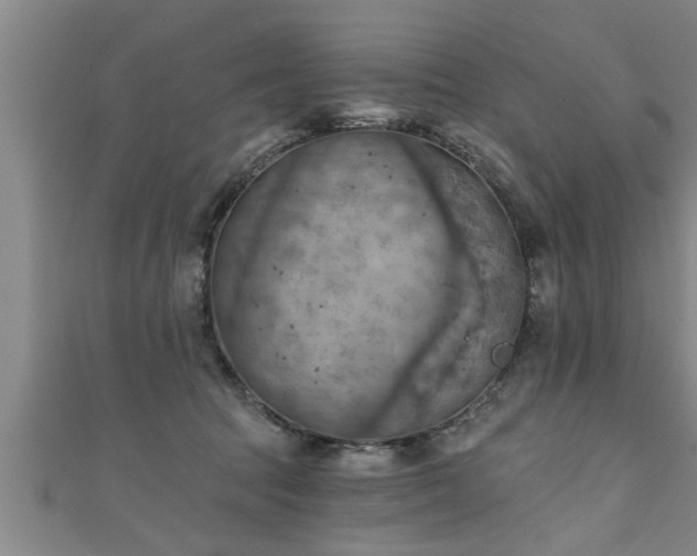 X0000111360369200907171209