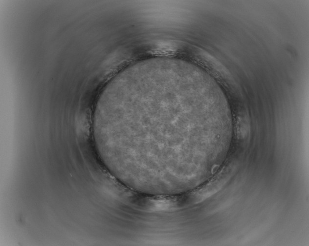 X0000111360370200907171209