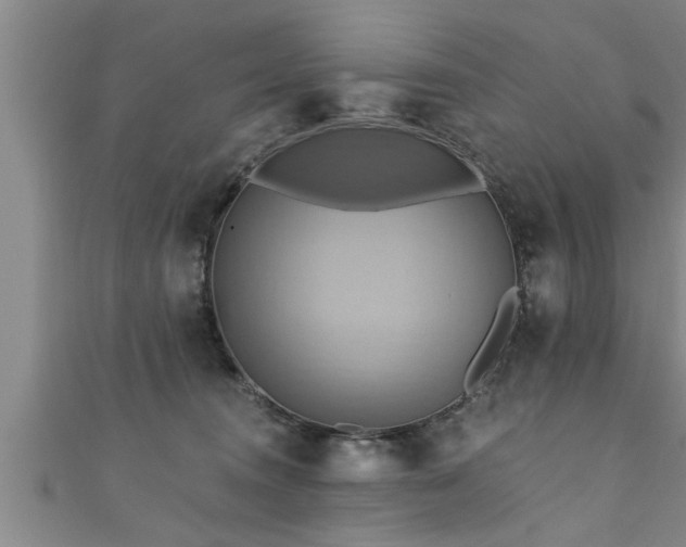 X0000111360372200907171209
