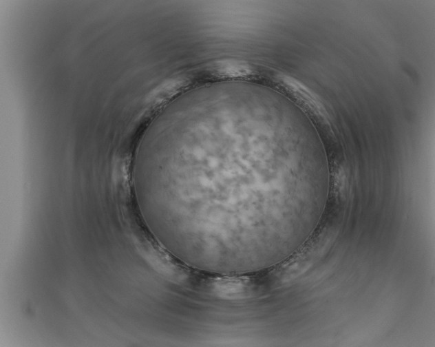 X0000111360373200907171209