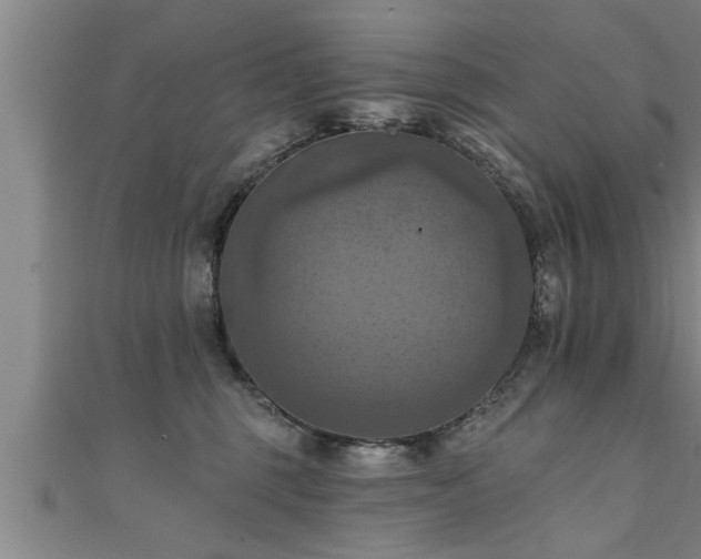 X0000111360375200907171209