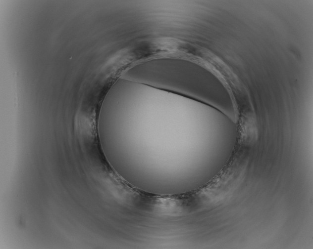 X0000111360376200907171209