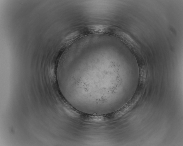X0000111360377200907171209