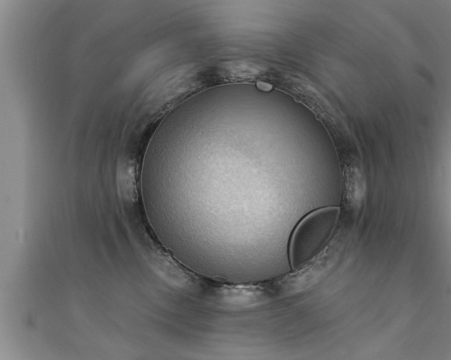 X0000111360378200907171209