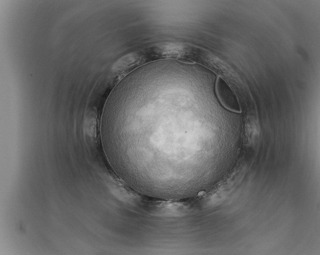 X0000111360379200907171209