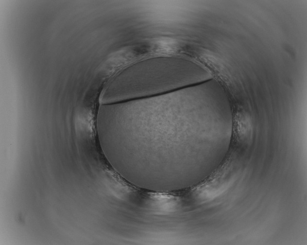 X0000111360380200907171209