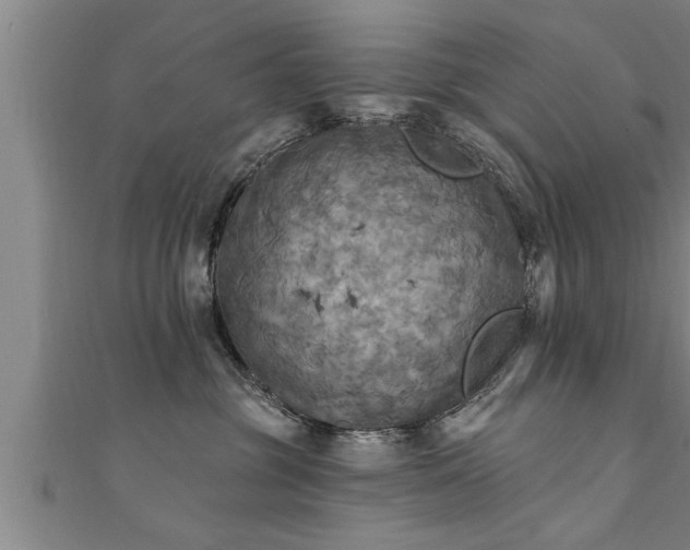 X0000111360381200907171209