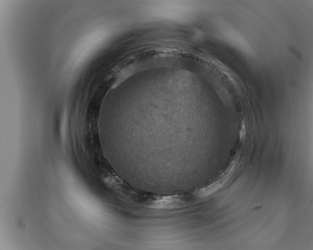X0000111360382200907171209