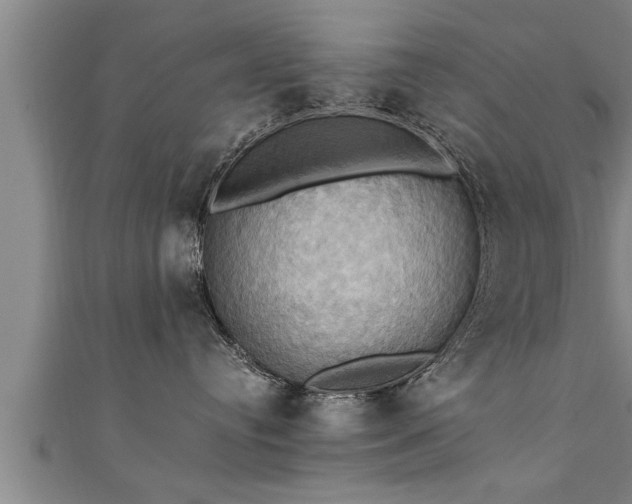 X0000111360384200907171209