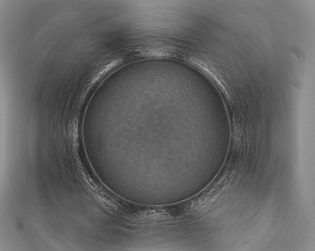 X0000111360386200907171208