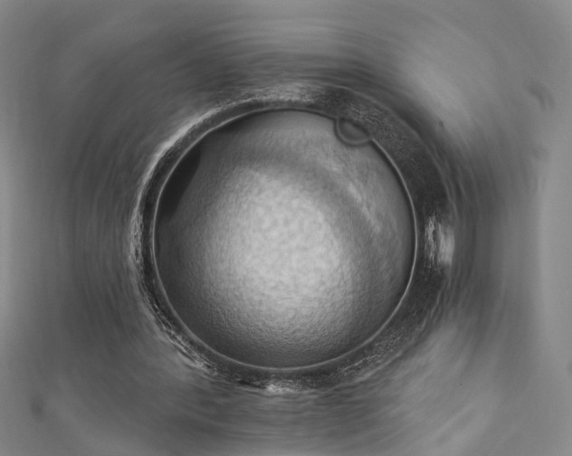 X0000111360388200907171208