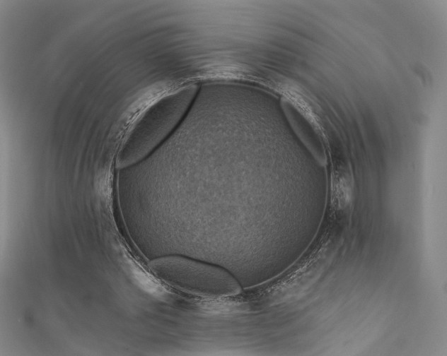 X0000111360389200907171208