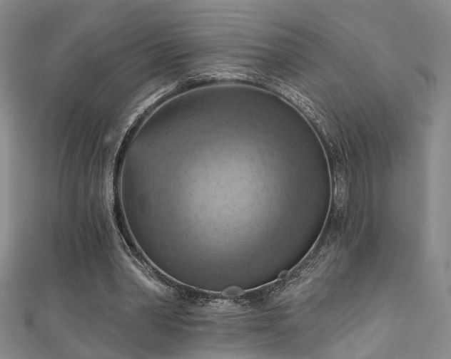 X0000111360390200907171208