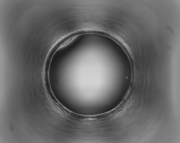 X0000111360391200907171208