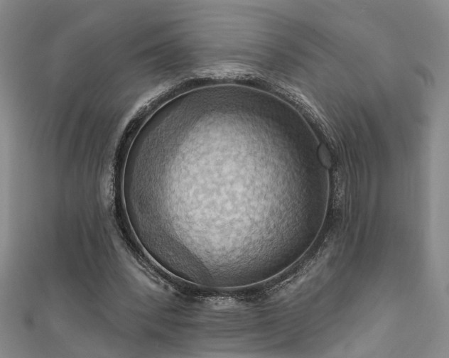 X0000111360392200907171208