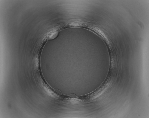 X0000111360393200907171208
