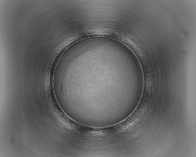X0000111360394200907171208
