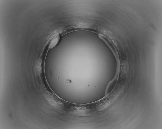 X0000111360395200907171208