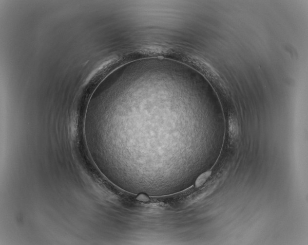 X0000111360396200907171208