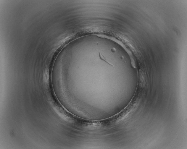 X0000111360398200907171208