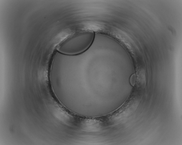 X0000111360399200907171208