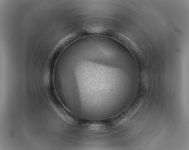 X0000111360400200907171208