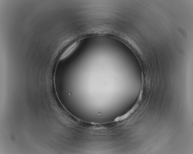 X0000111360403200907171208