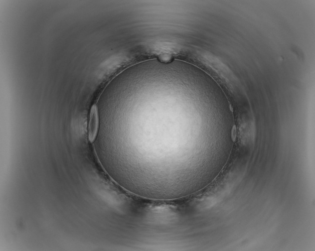 X0000111360407200907171208