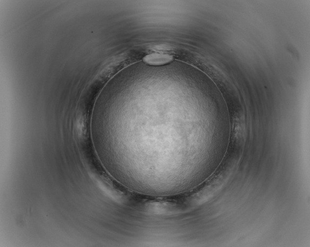 X0000111360408200907171208