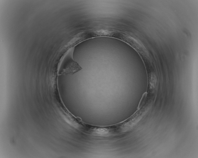 X0000111360409200907171208