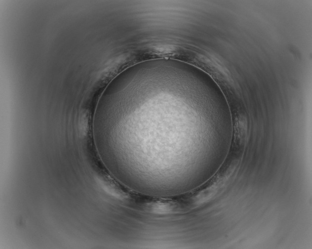 X0000111360412200907171208