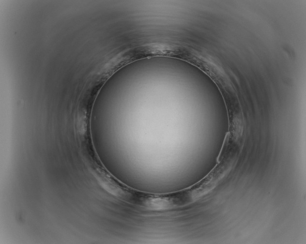 X0000111360413200907171208