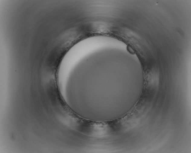 X0000111360415200907171208