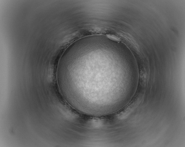 X0000111360416200907171208