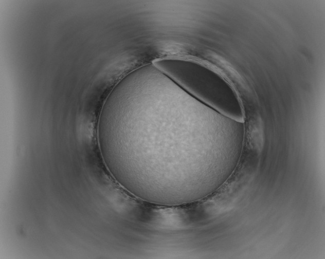 X0000111360417200907171208