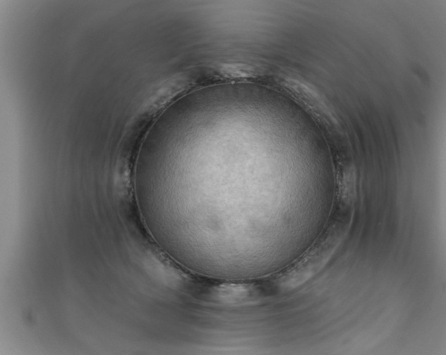 X0000111360418200907171208